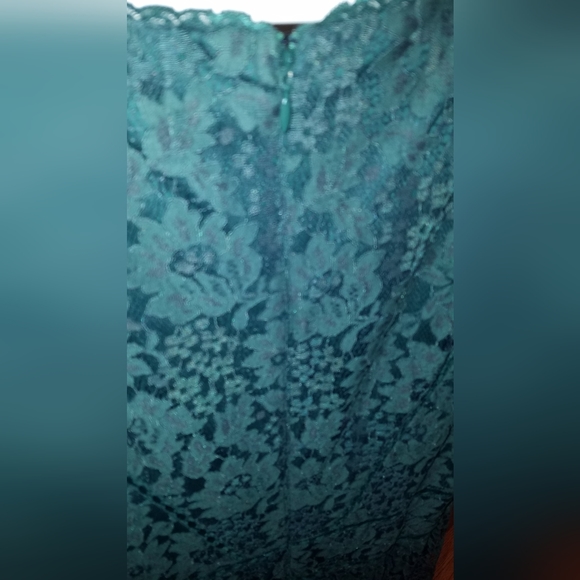 BHLDN Perri Lace V-neck Dress in Cactus size 16 - Picture 7 of 7